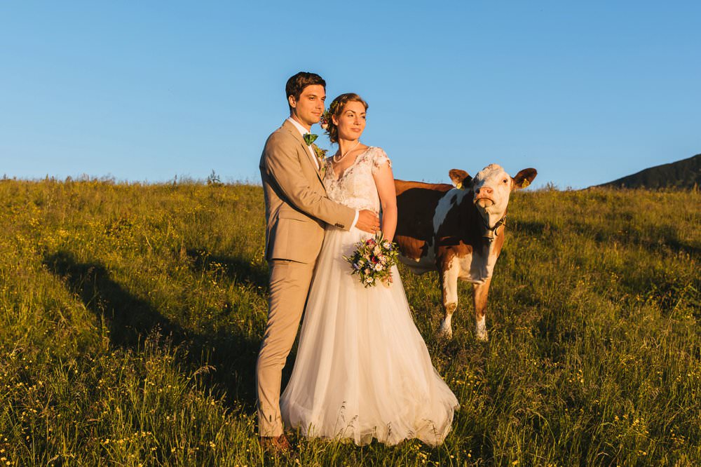 Brautpaar mit interessierter Kuh im Hintergrund in den Bergen